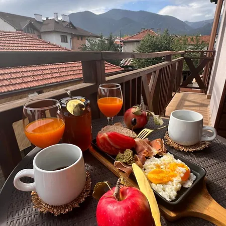 Honey House Konukevi Bansko